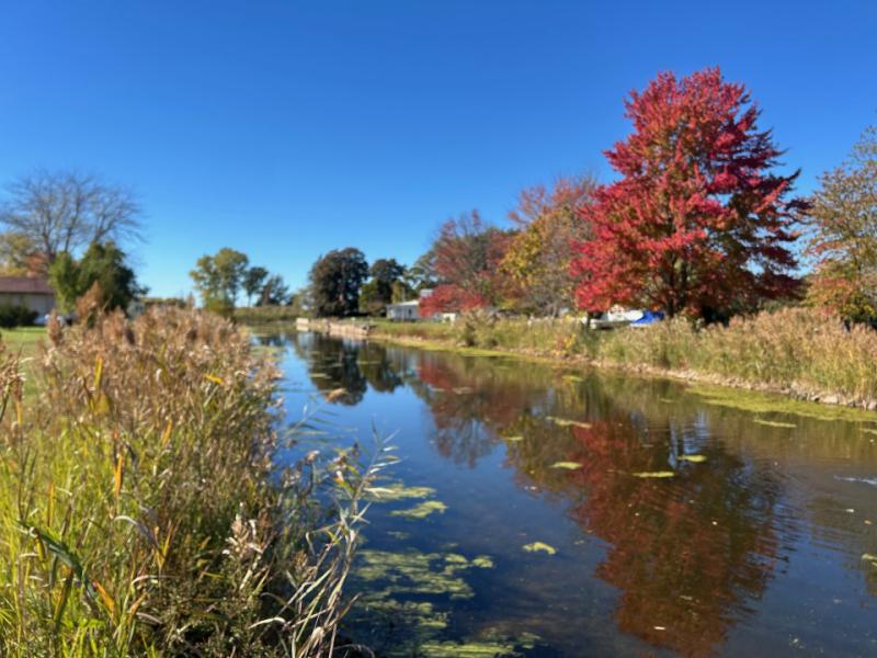 RentalsMLS Rental Main Image