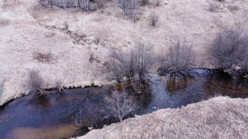 RentalsMLS Rental Additional Image