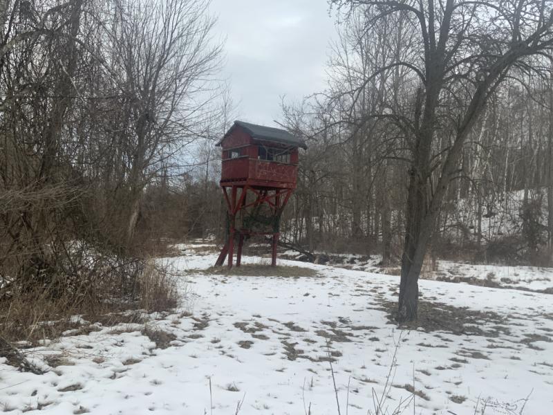 RentalsMLS Rental Additional Image