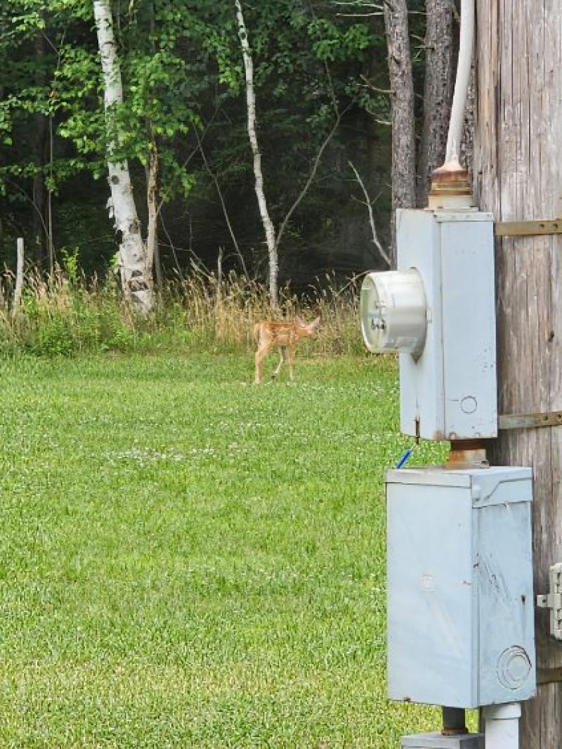 RentalsMLS Rental Additional Image