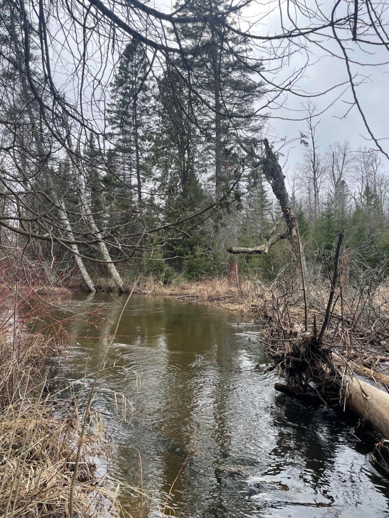 RentalsMLS Rental Main Image