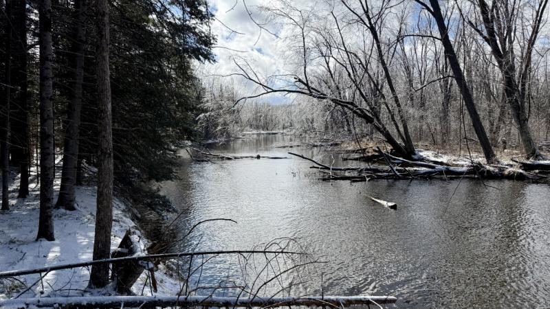 RentalsMLS Rental Main Image