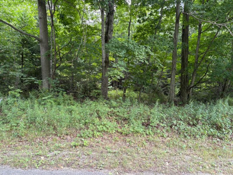 RentalsMLS Rental Main Image