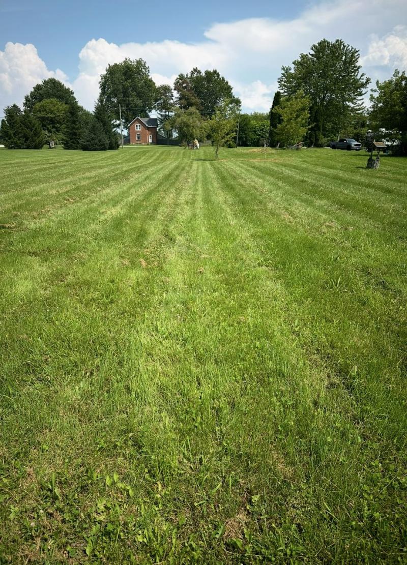 RentalsMLS Rental Main Image