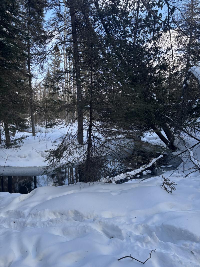 RentalsMLS Rental Main Image