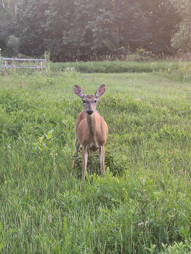 RentalsMLS Rental Additional Image