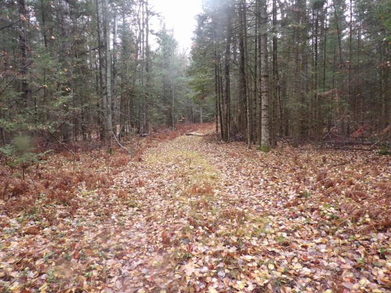 RentalsMLS Rental Main Image