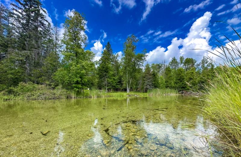 RentalsMLS Rental Main Image