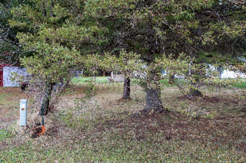 RentalsMLS Rental Additional Image