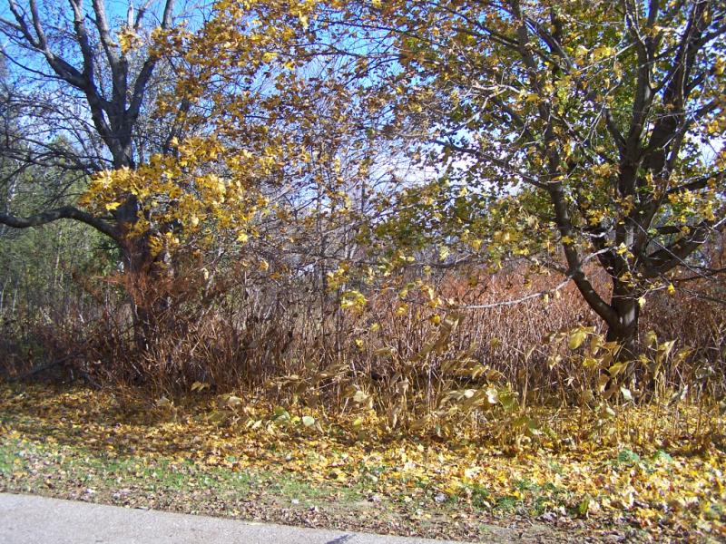 RentalsMLS Rental Main Image