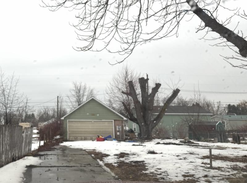 RentalsMLS Rental Main Image