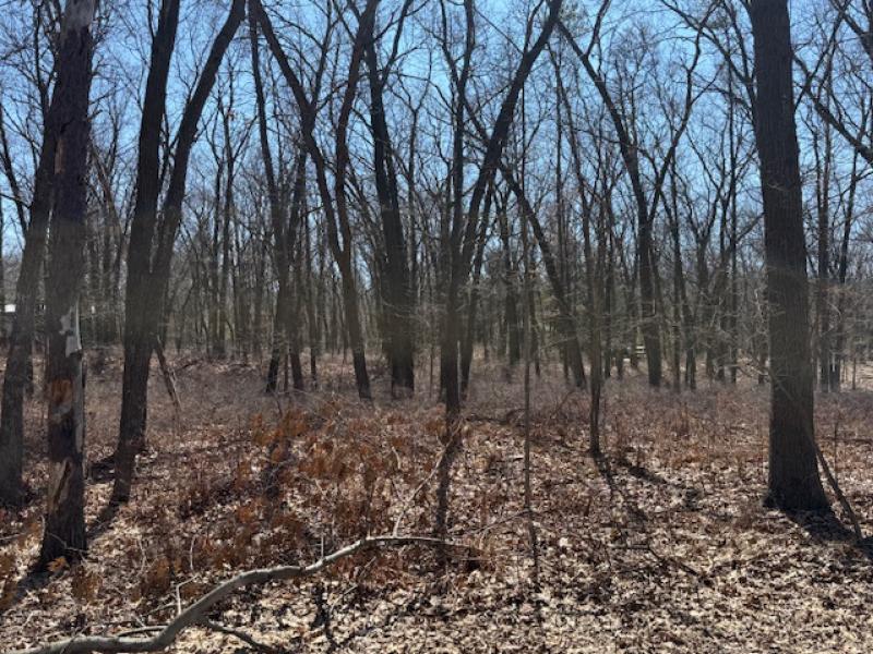 RentalsMLS Rental Main Image