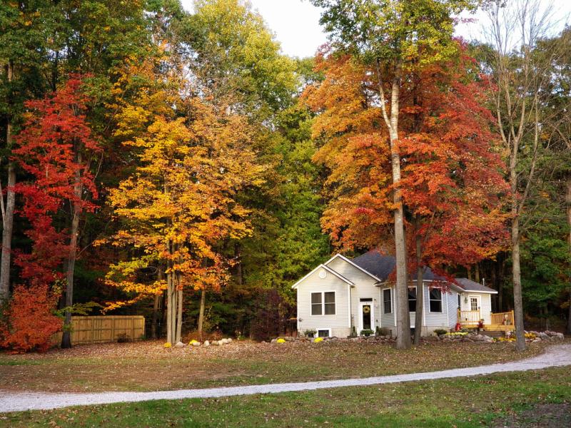 RentalsMLS Rental Additional Image