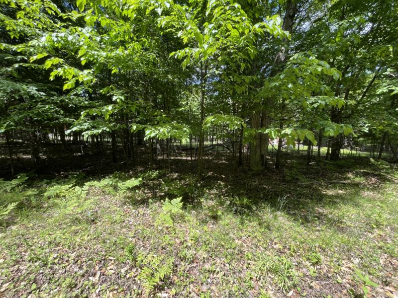 RentalsMLS Rental Main Image