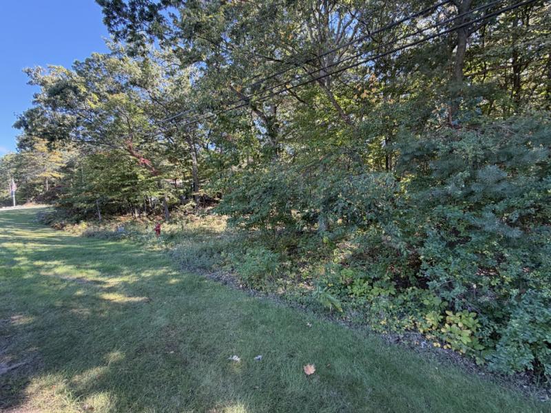 RentalsMLS Rental Main Image