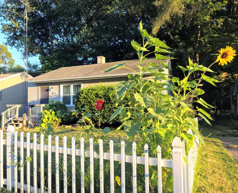 Rental 202355 Main Image