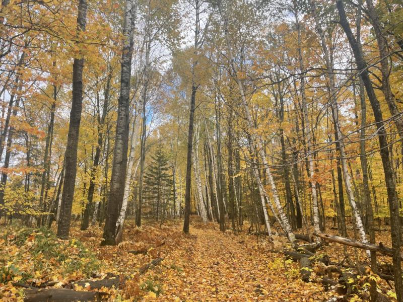 Rental 202582 Main Image