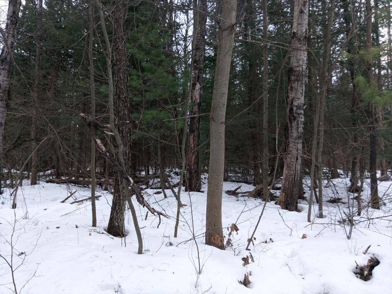 Rental 202767 Main Image