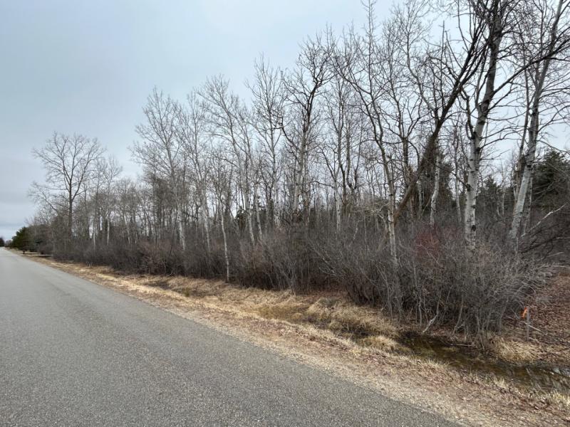 Rental 203156 Main Image