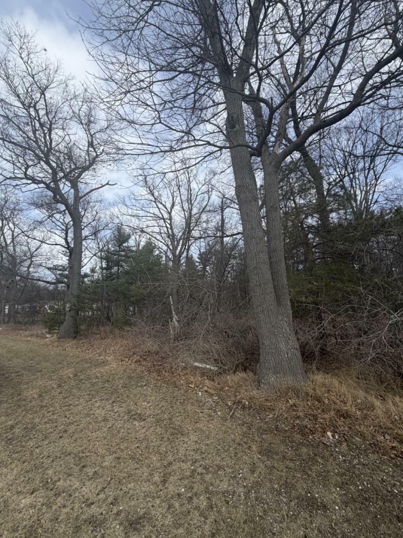 Rental 203157 Main Image