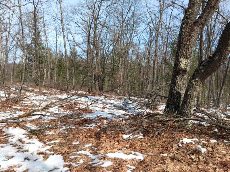 Rental 203231 Main Image