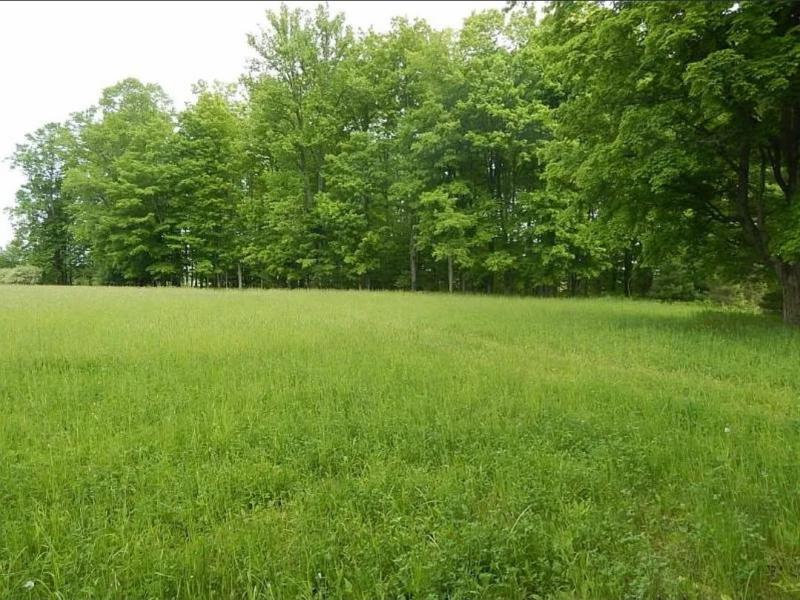 Rental 203240 Main Image