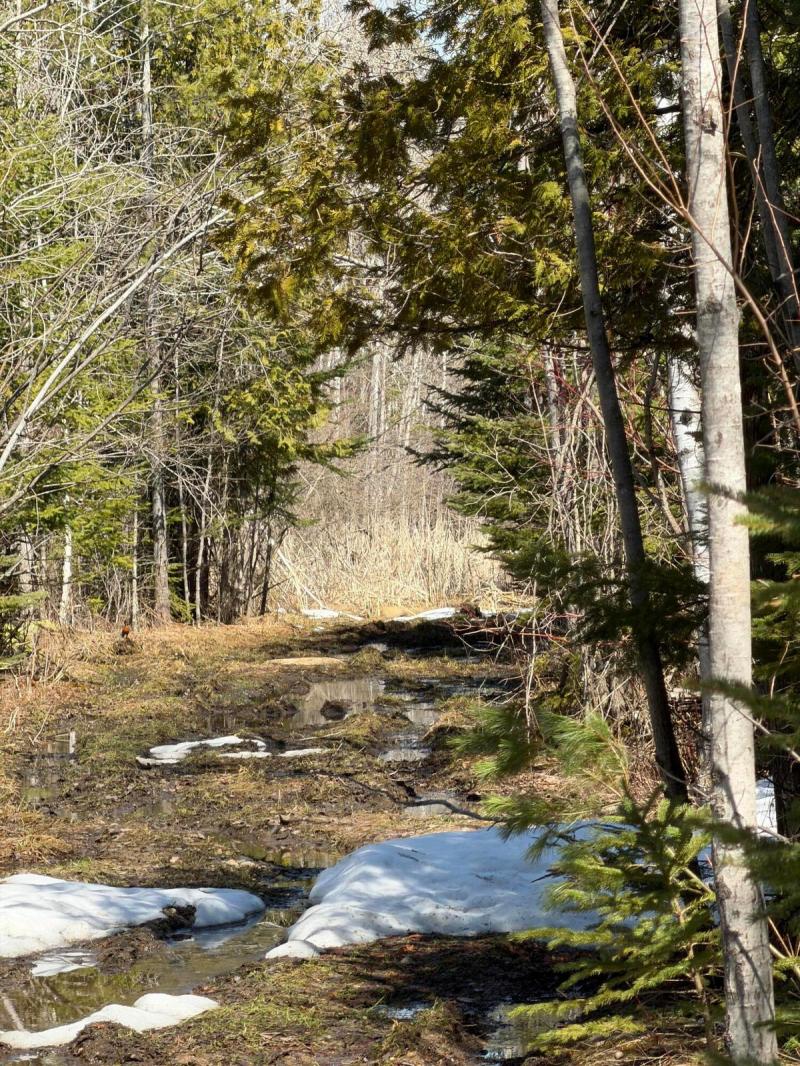 Rental 203361 Main Image