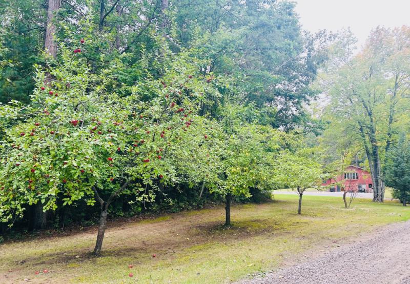 RentalsMLS Rental Additional Image