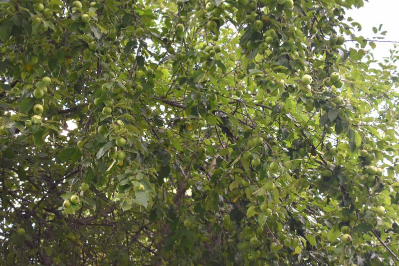 RentalsMLS Rental Additional Image