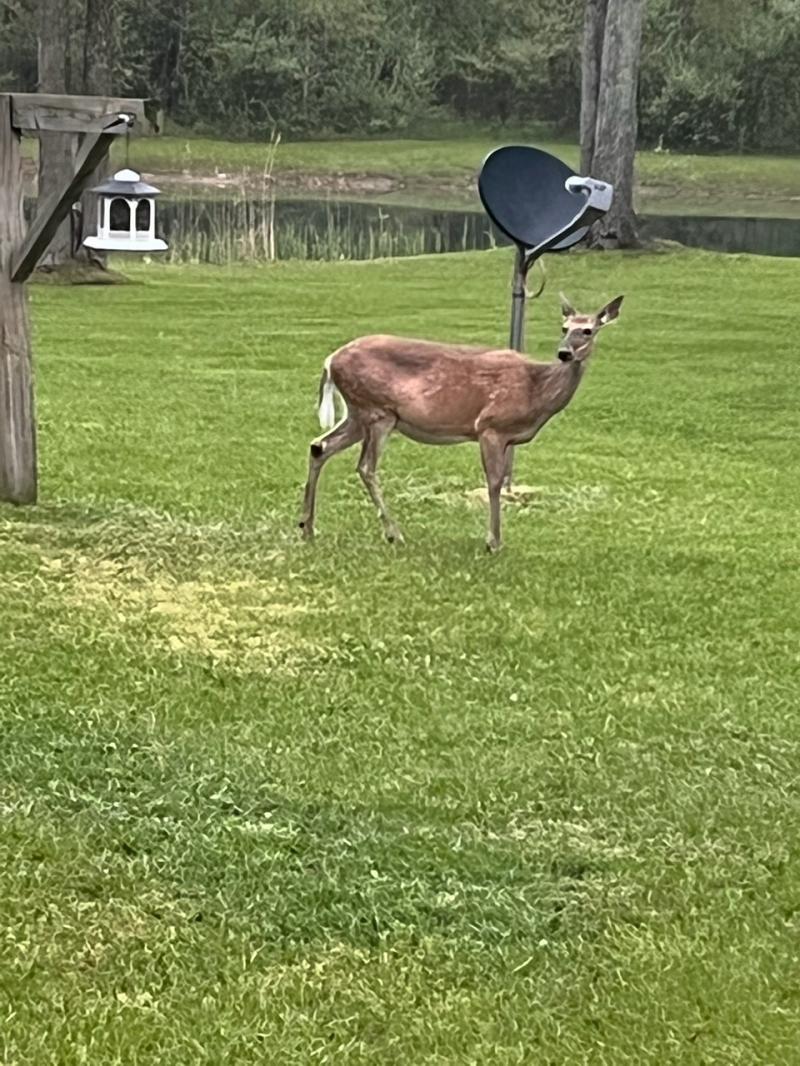 RentalsMLS Rental Additional Image