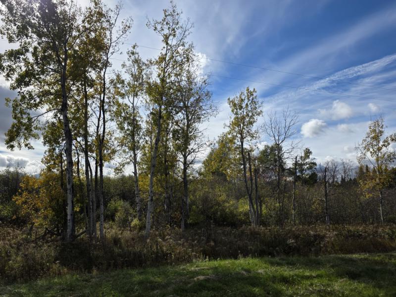 RentalsMLS Rental Main Image