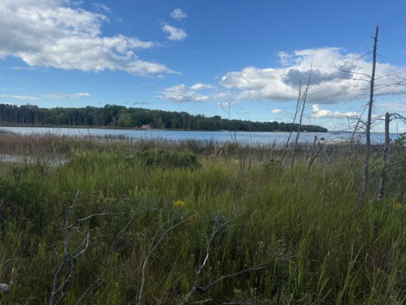 RentalsMLS Rental Main Image