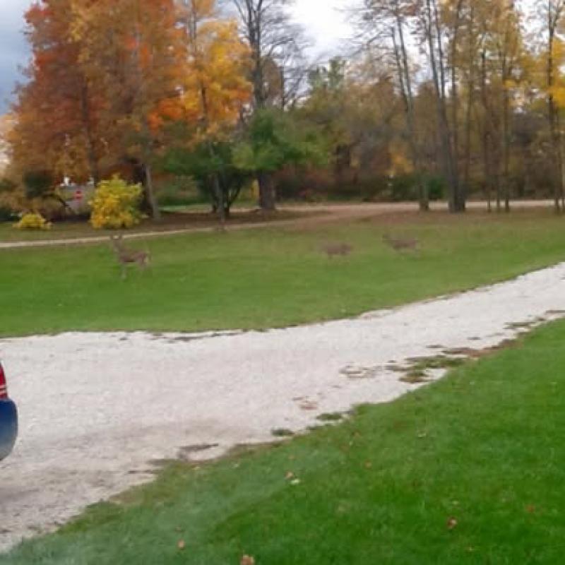 RentalsMLS Rental Additional Image