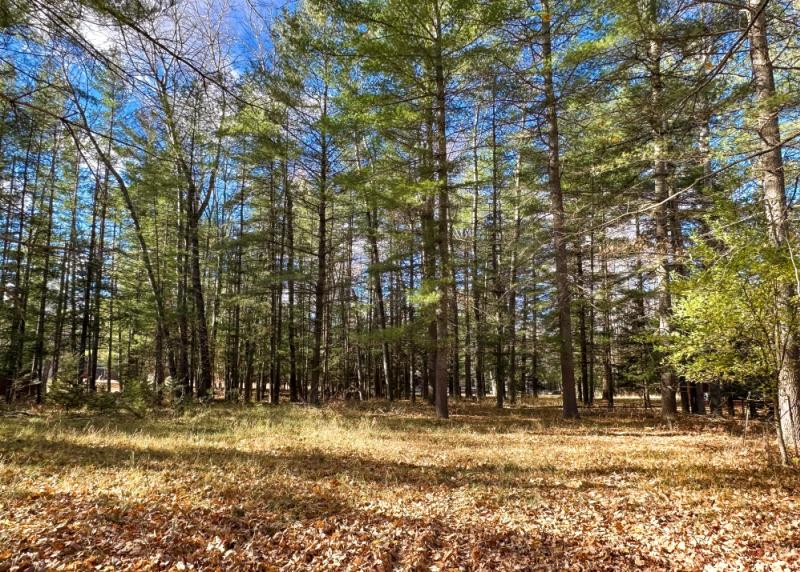 RentalsMLS Rental Main Image