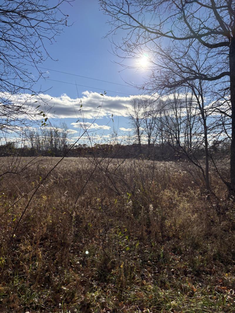 RentalsMLS Rental Main Image