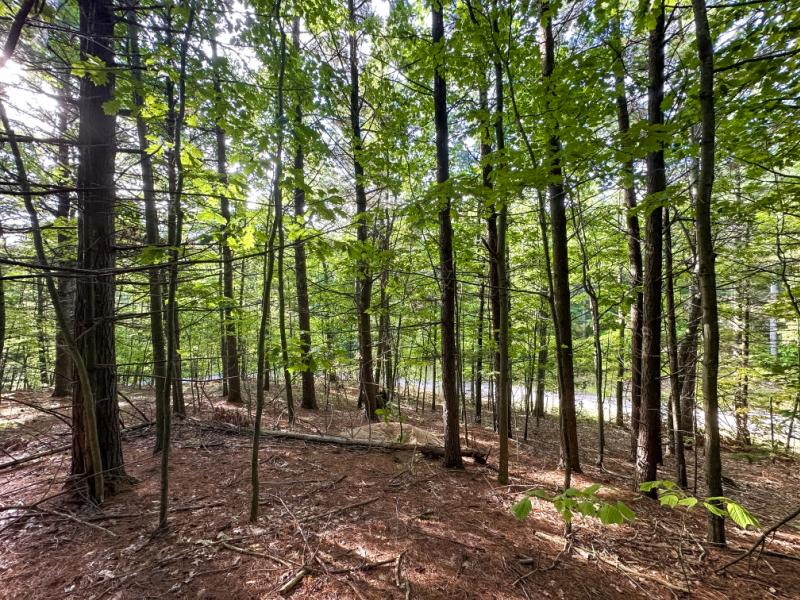 RentalsMLS Rental Additional Image