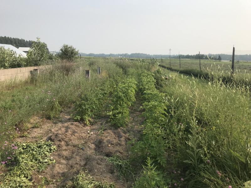 RentalsMLS Rental Additional Image