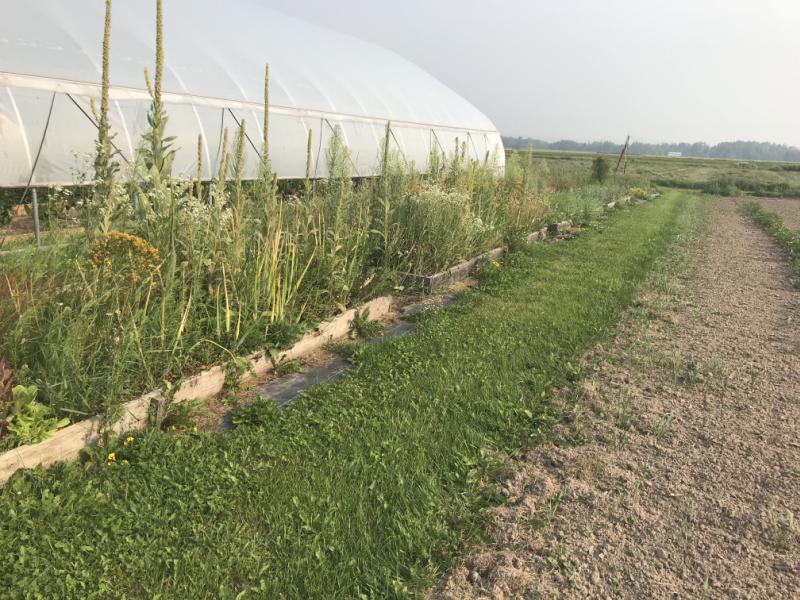 RentalsMLS Rental Additional Image