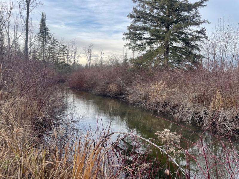 RentalsMLS Rental Main Image