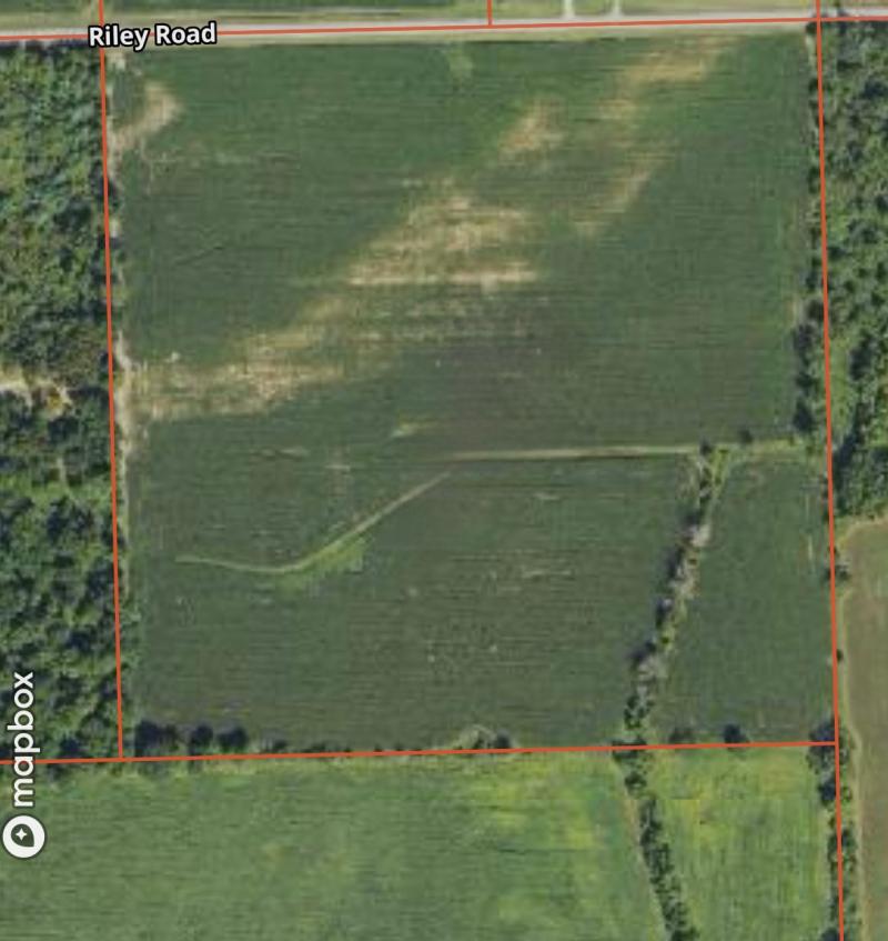 RentalsMLS Rental Main Image