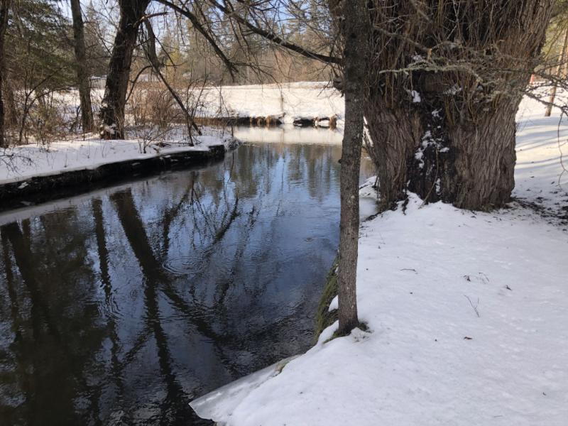 RentalsMLS Rental Additional Image