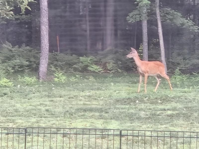 RentalsMLS Rental Additional Image