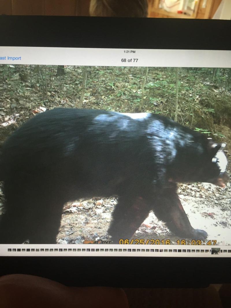 RentalsMLS Rental Additional Image