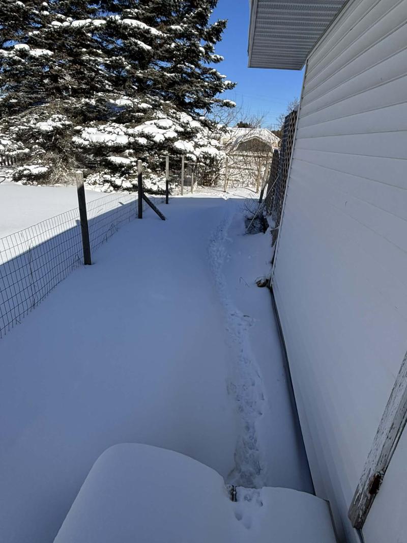 RentalsMLS Rental Additional Image