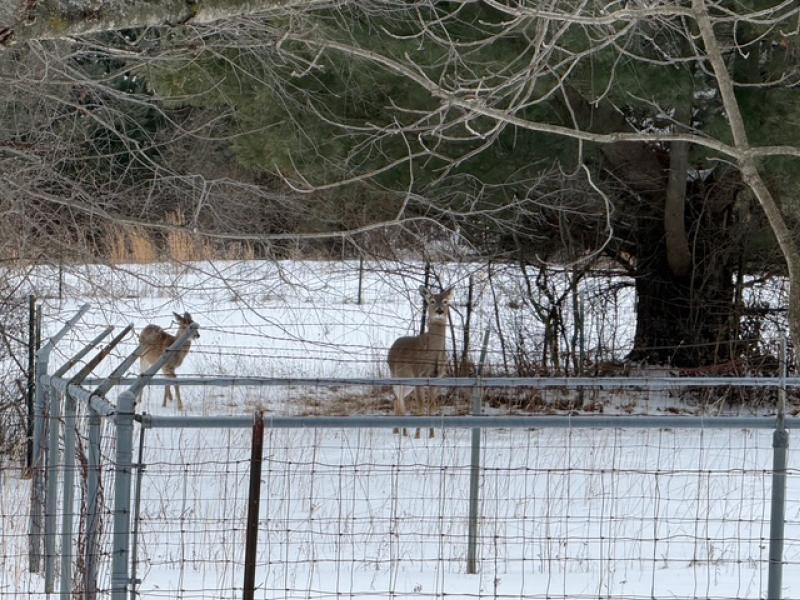 RentalsMLS Rental Additional Image