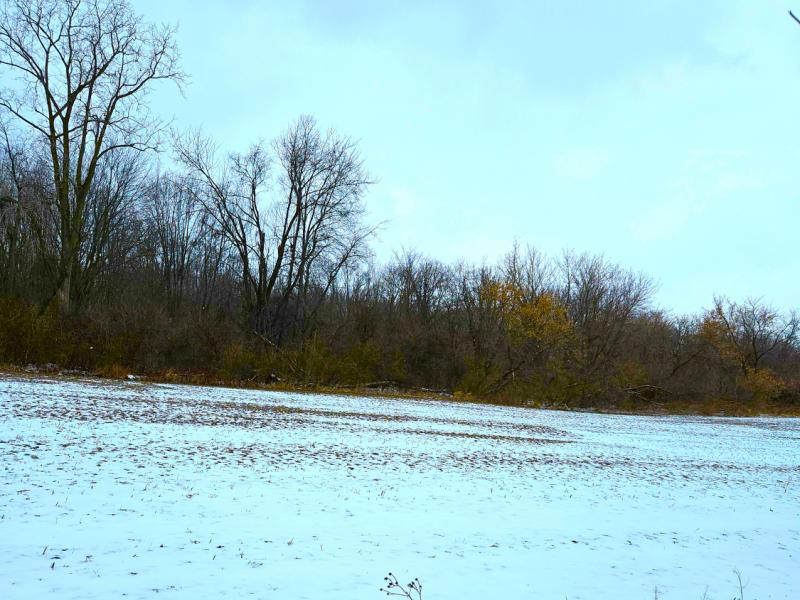 RentalsMLS Rental Main Image