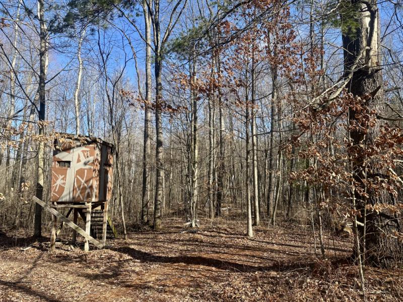 RentalsMLS Rental Additional Image