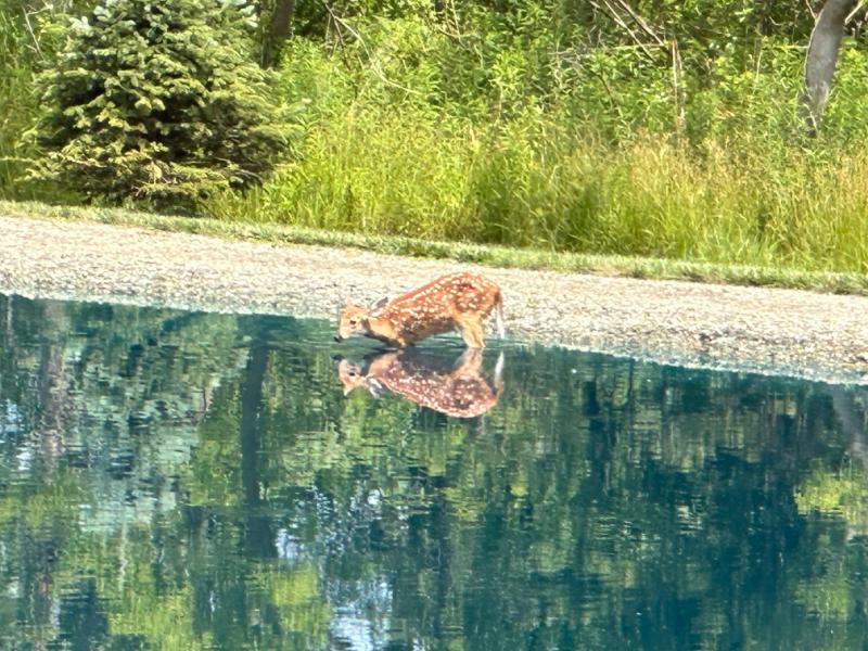 RentalsMLS Rental Additional Image