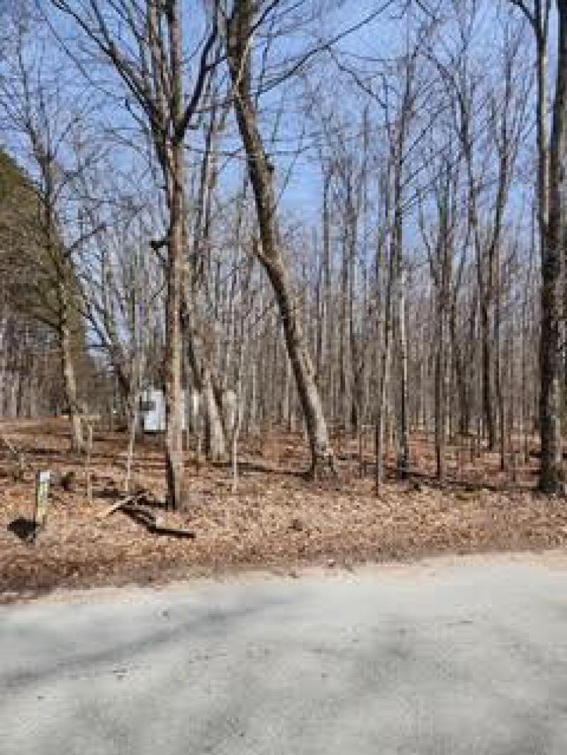 RentalsMLS Rental Main Image