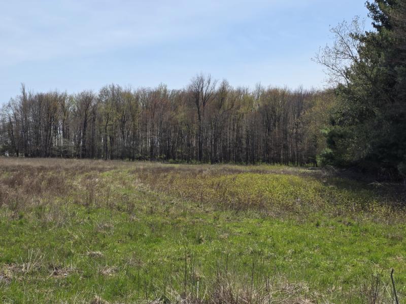 RentalsMLS Rental Main Image